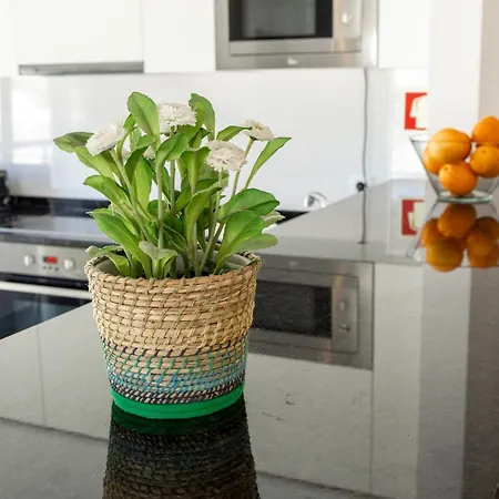Carmona A Apartment *